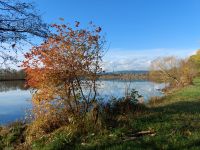 86_b_Strahlender_Sptherbsttag_an_der_Donau_mit_Blick_auf_Pondorf_-_wt_2022_11_10