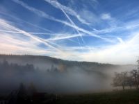 91_a_Novenberstimmung_bei_Elisabethszell_-_nn_2022_11_11