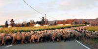 92_b__auf_dem_Weg_ins_Regental_bei_Miltach_-_nn_2022_11_14