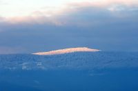 98_c_Hirschenstein_von_Welchenberg_-_nn_2022_12_08