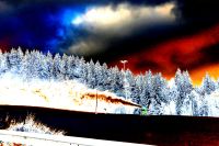 98_o_Schneekanonen_in_Gruen_-_Verfremdung_1_-_nn_2022_12_12