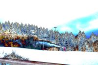 98_p_Schneekanonen_in_Gruen_-_Verfremdung_2_-_nn_2022_12_12