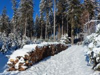 98_q_Nach_der_bisher_kaeltesten_Nacht_des_Winters_ein_strahlender_Dezembertag_-_im_2022_12_13