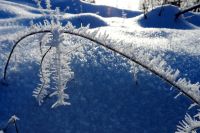 98_t_Winterzauber_-_nn_2022_12_12
