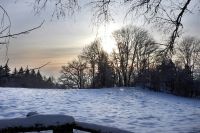 98_z_Winterwanderung_Grandsberg_-_nn_2022_12_18