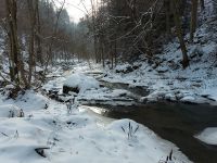 99_a_Perlbach_bei_Mitterfels_-_bevor_der_weihnachtliche_Regen_kam_-_ft_2022_12_20
