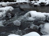 99_c_Der_Frost_gestaltet_die_Natur_-_ft_2022_12_20