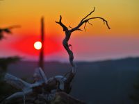 08_Sonnenaufgang