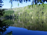 11_Prasilsky_Jezero-Stubenbacher_See