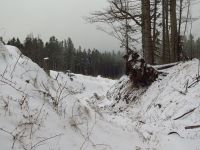 Bild03_Goldener_Steig
