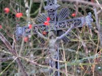 Bild06_Flusarna