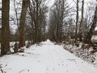Bild07_Weg_nach_Nimpfergut