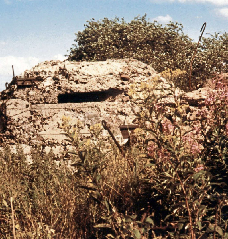 Hartmannsweilerkopf4