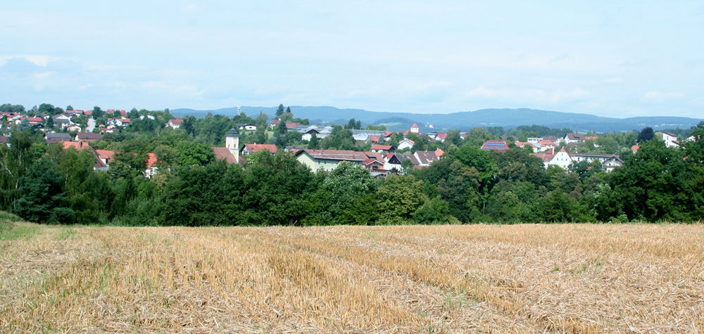 blick mitterfels wp