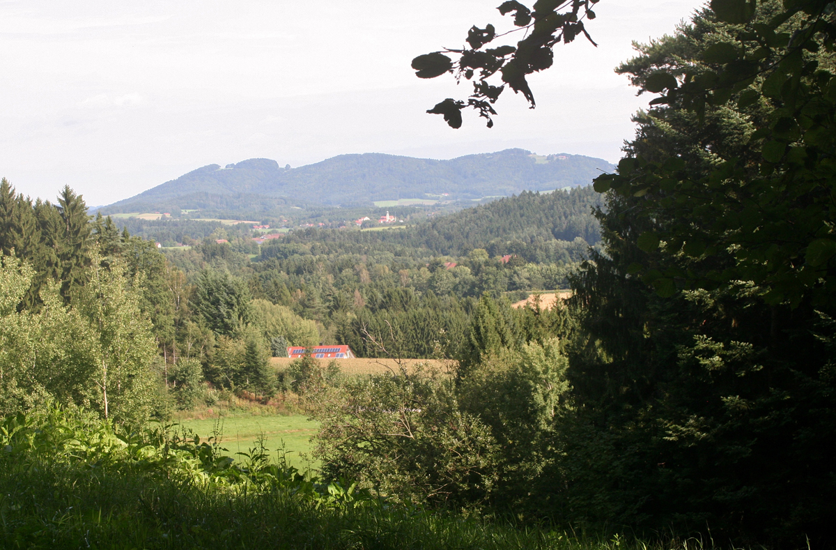 blick zum gallner w