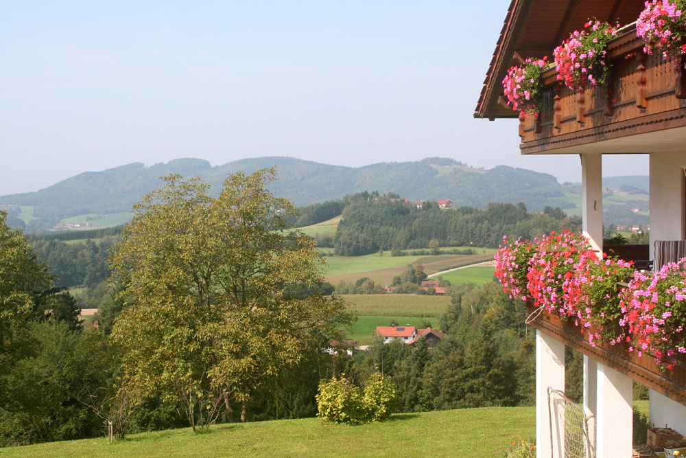 wand02 2 ausblick gallner w