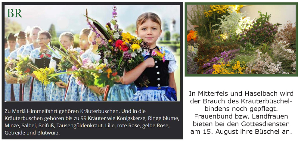 kruterbschelbinden w p