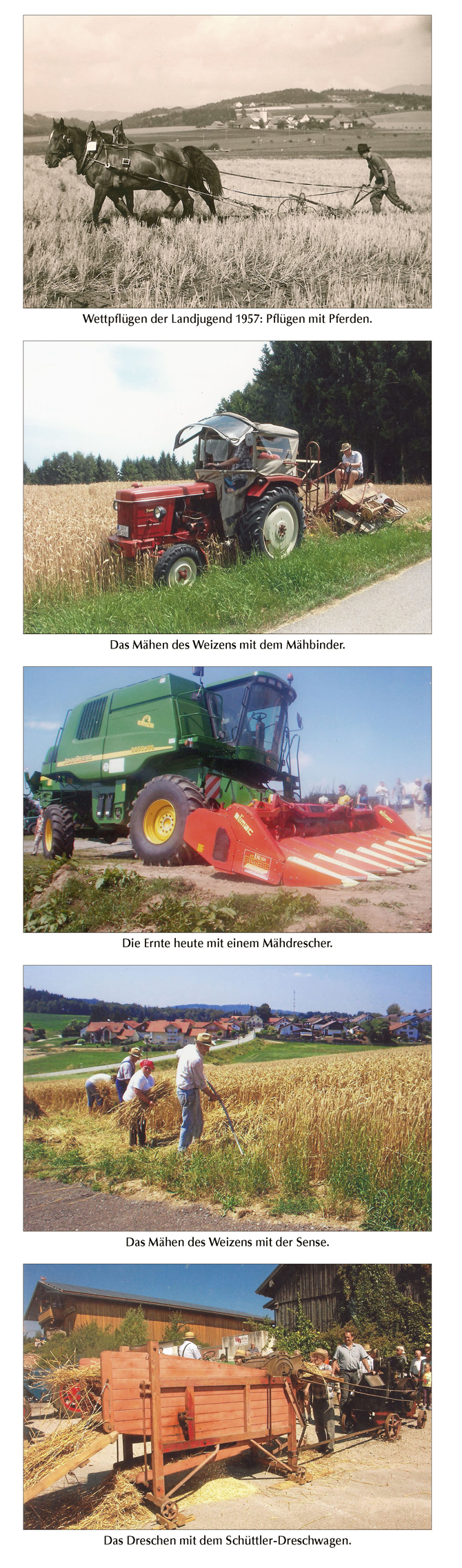 drescherfest degernbach 3 015 bog ztg 00 250816