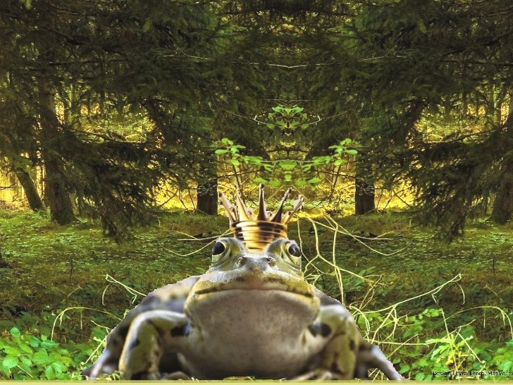 Froschkoenig