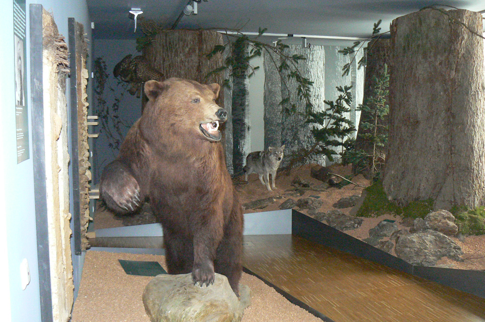 02 waldmuseum zwiesel w