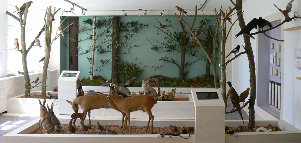 03 waldmuseum zwiesel w p