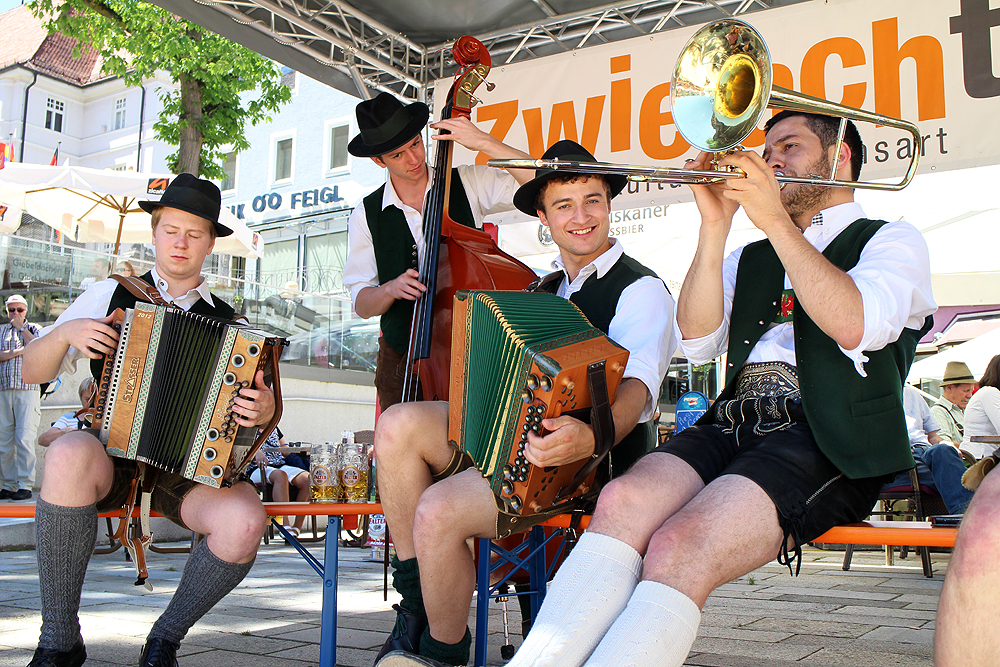 2018 Aufknopft Ziachmusi Auch aus sterreich sind Musikanten in Regen zu Gast Foto byRoland Pongratz