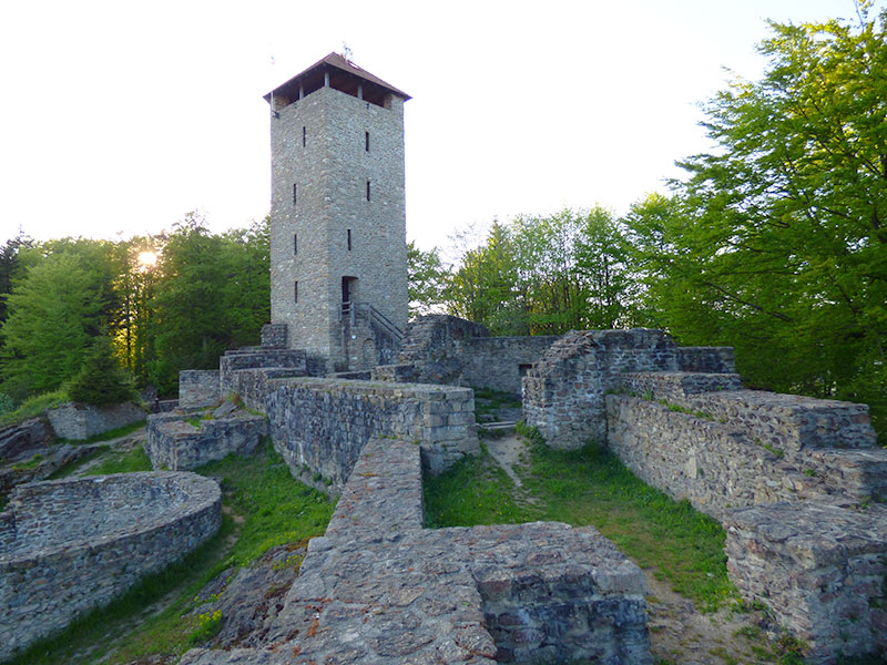 11 f Altnussberg Boecklerbund Historisches Lexikon Bayerns