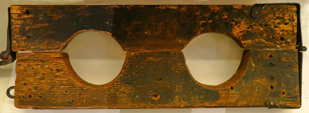 15 b Doppelschandgeige Waldmuseum MHaller