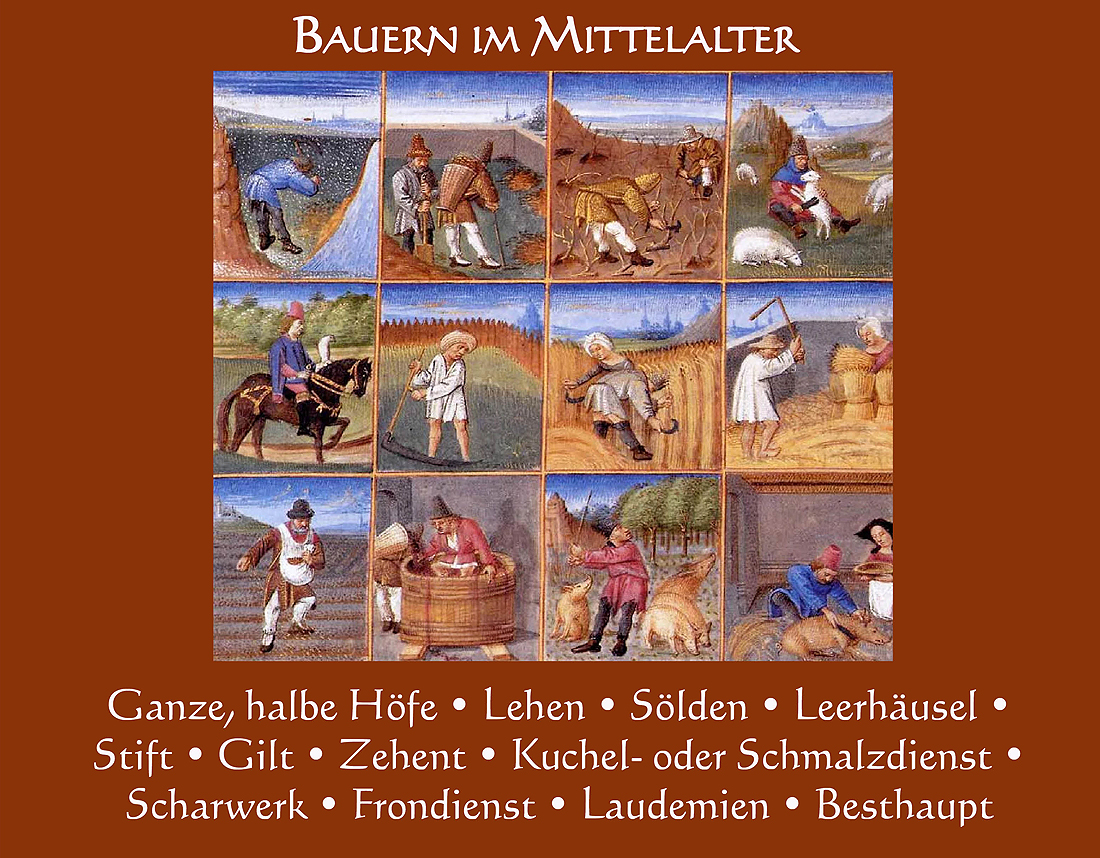 18 Bauern im Mittelalte C