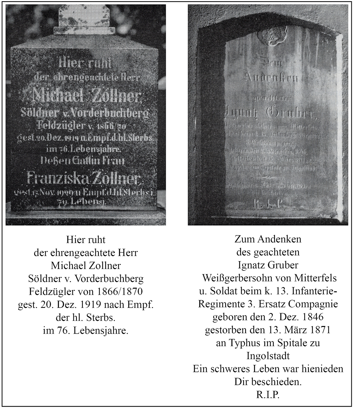 49 g Zollner Gruber w