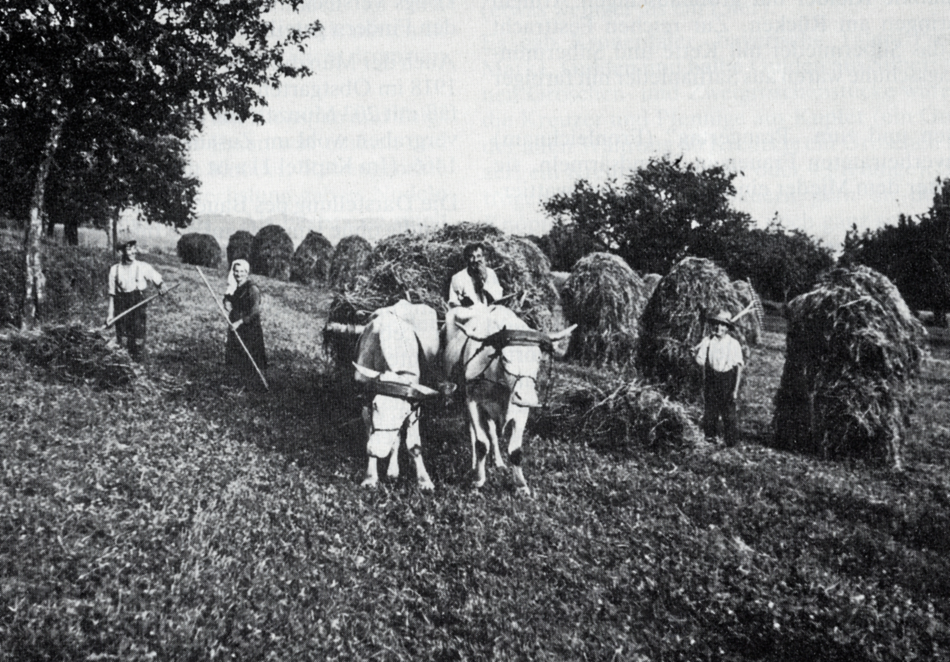 55 Bauernleben 1