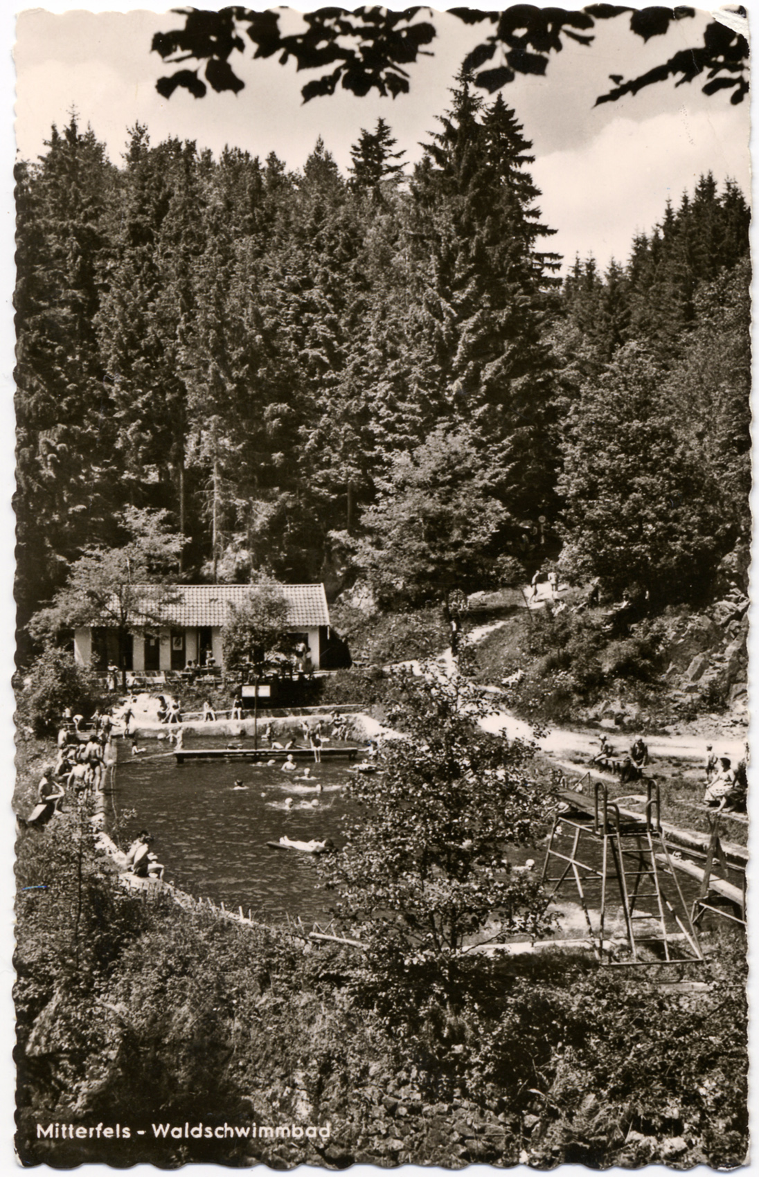 63 b 11 Mitterfels Waldschwimmbad Aumer 1960 w