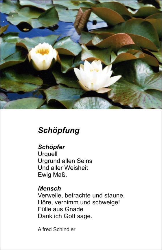 August 2019 4 Schoepfung