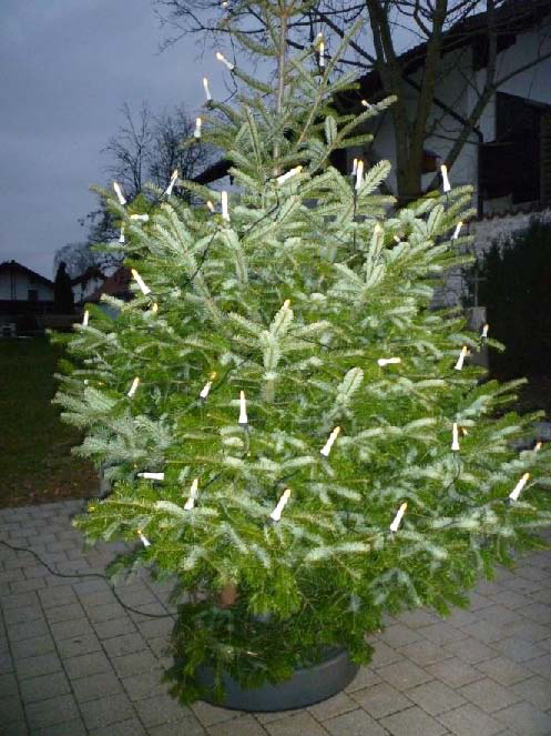 Dezember 2018 3