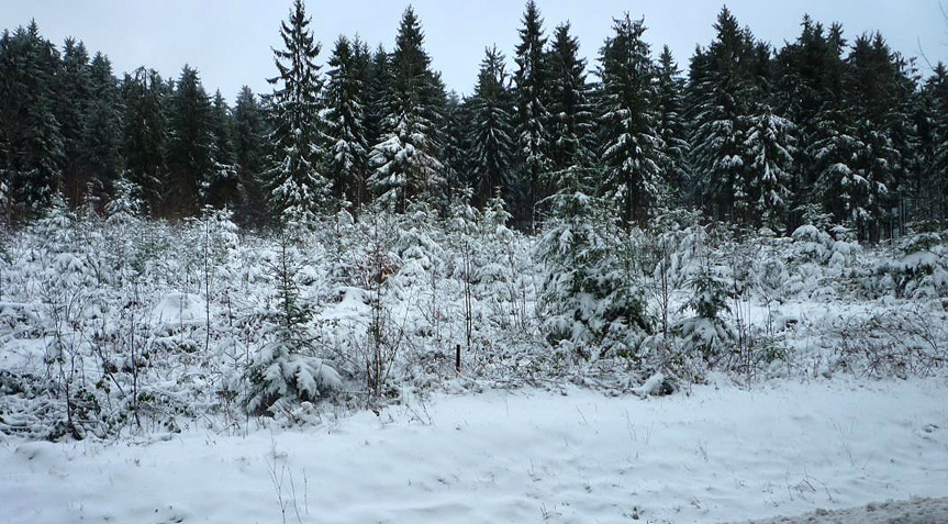 Dezember 2019 3
