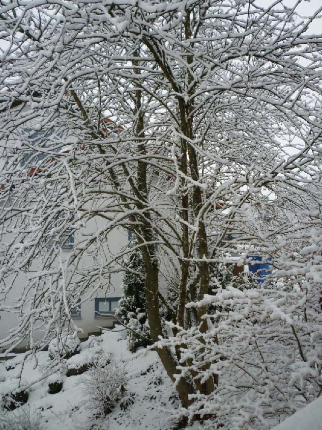 Dezember 2021 03