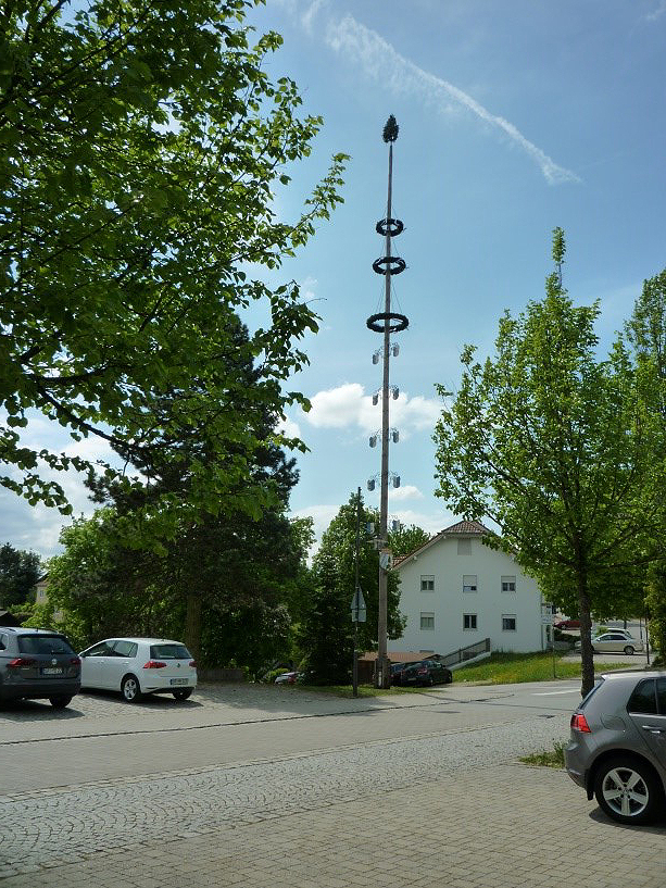 Mai2018 1 Maibaum