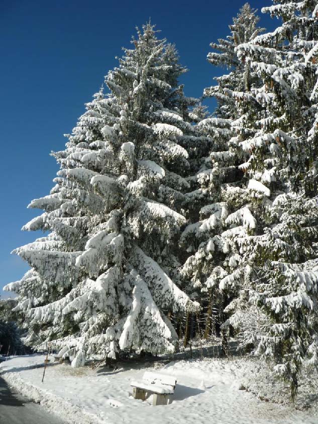 November 2018 04 Wintereinbruch
