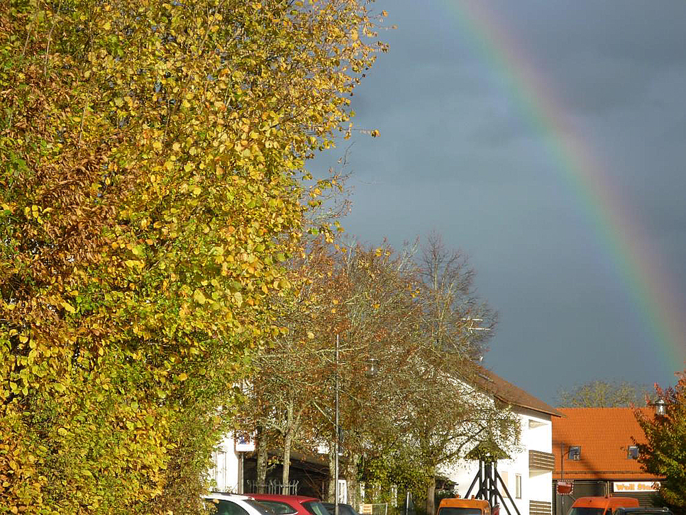 November 2019 1