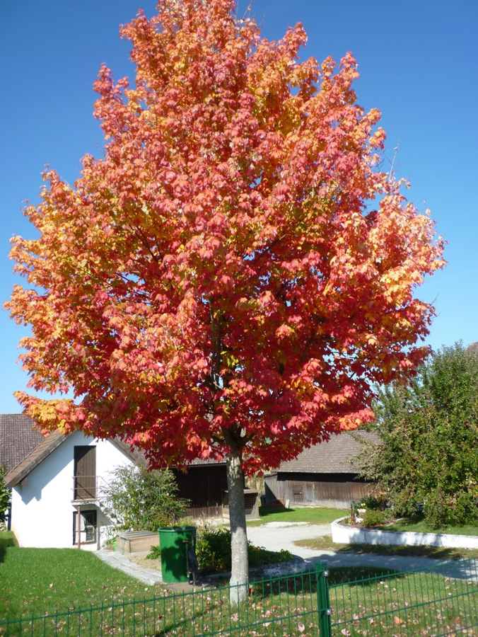Oktober2018 01