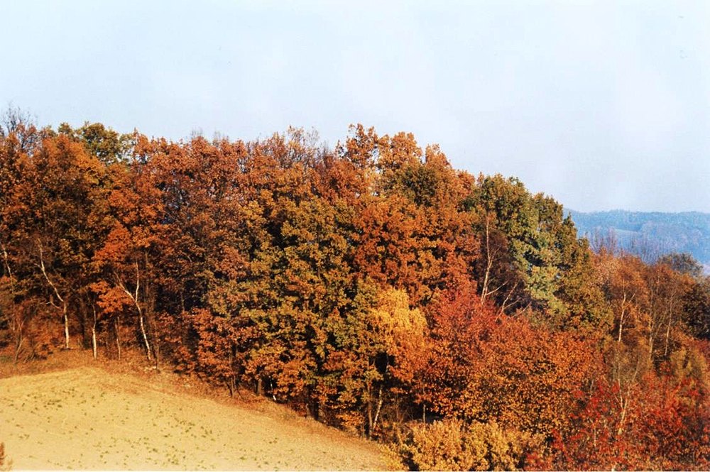 Oktober 2020 02