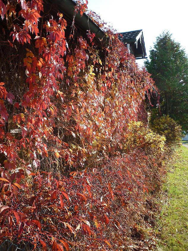 Oktober 2020 04