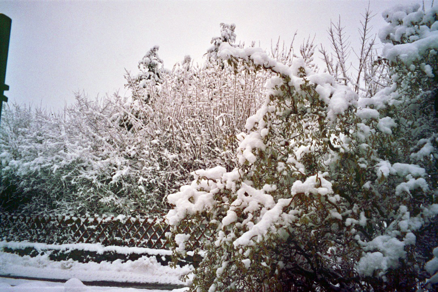 Winter2017 18 08 Schnee