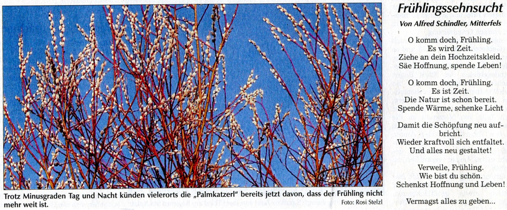 Winter2017 18 10 Frhlingssehnsucht
