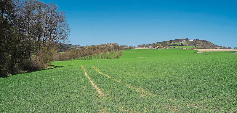 april2015 013 bog ztg 00 110515 w