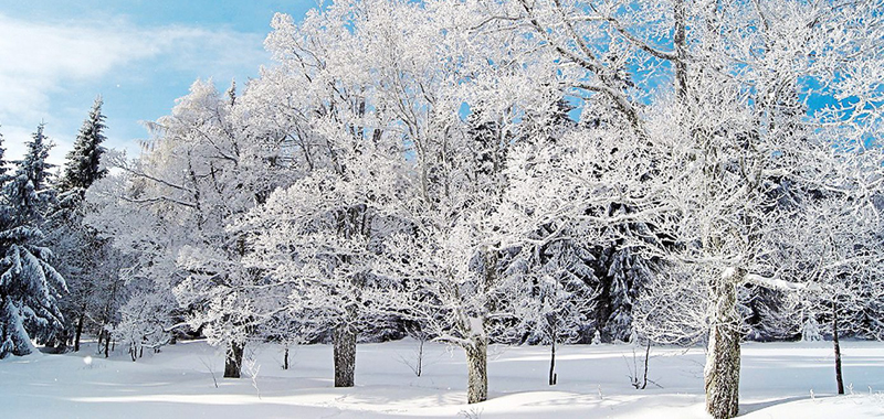 wetter januar 013 bog ztg 00 100216 p