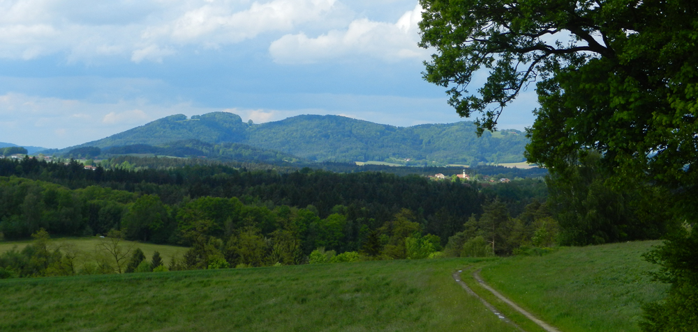 wetter juni gallner p