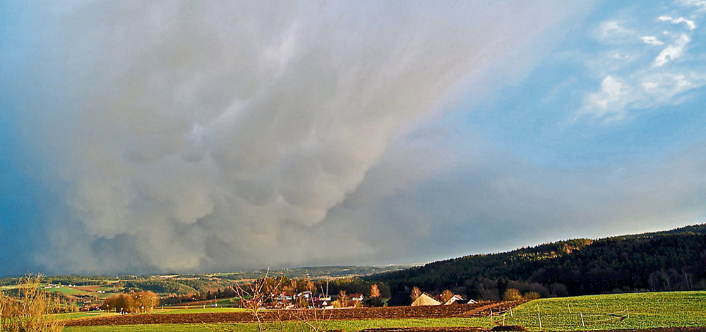 wetter maerz 019 bog ztg 00 080415