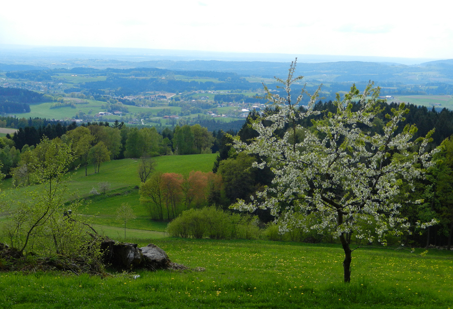 wetterrueckblick 04 2014 haselbach von buchet