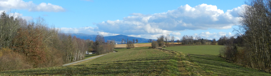 wiespoint blick zum hirschenstein p